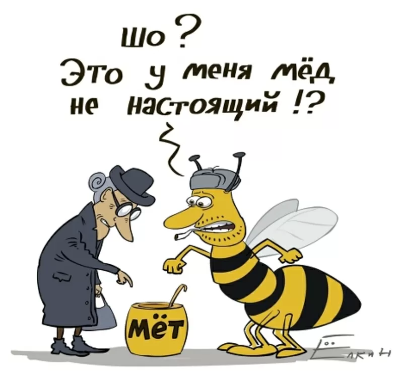 Мёд натуральный продам оптом