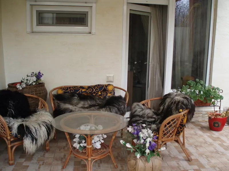 Продам дом на ул. Дубовая роща 2