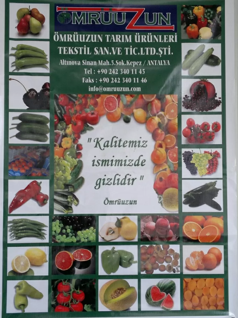 Овощи,  фрукты,  цитрусы по ценам ниже рыночных со склада в Одессе.