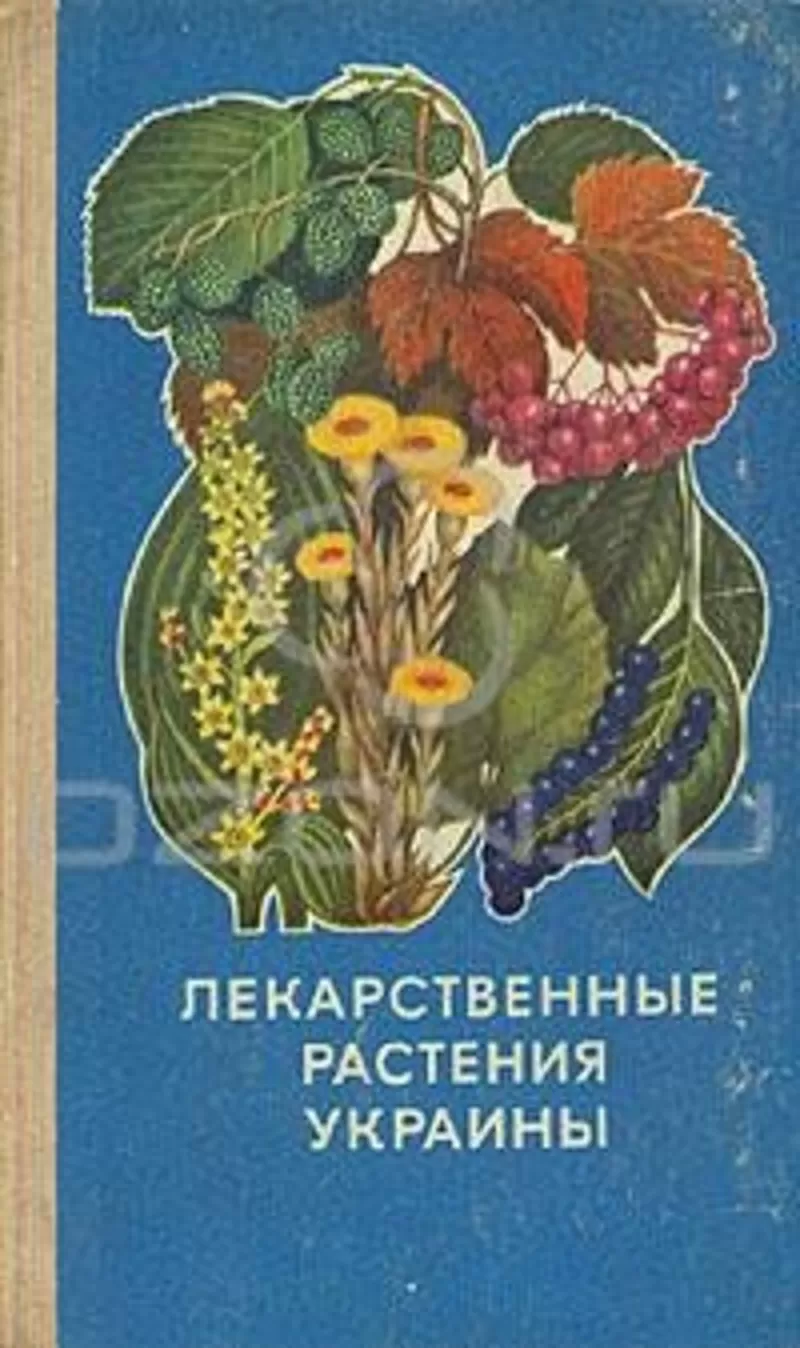 Ивашин Д.,  Катина З. и др.,  Лекарственные растения Украины