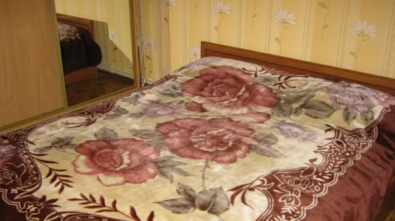 2 х комнатная в историческом центре города посуточно 2