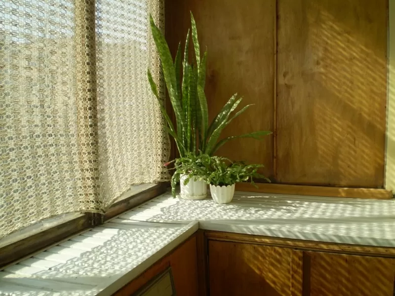 Одесса Посуточная аренда 2 ком квартиры от хозяина/40-50$/Аркадия 8