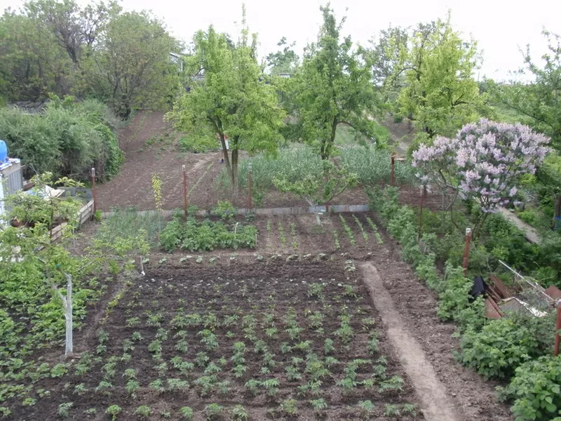 Дом в Фонтанке на морской стороне 3