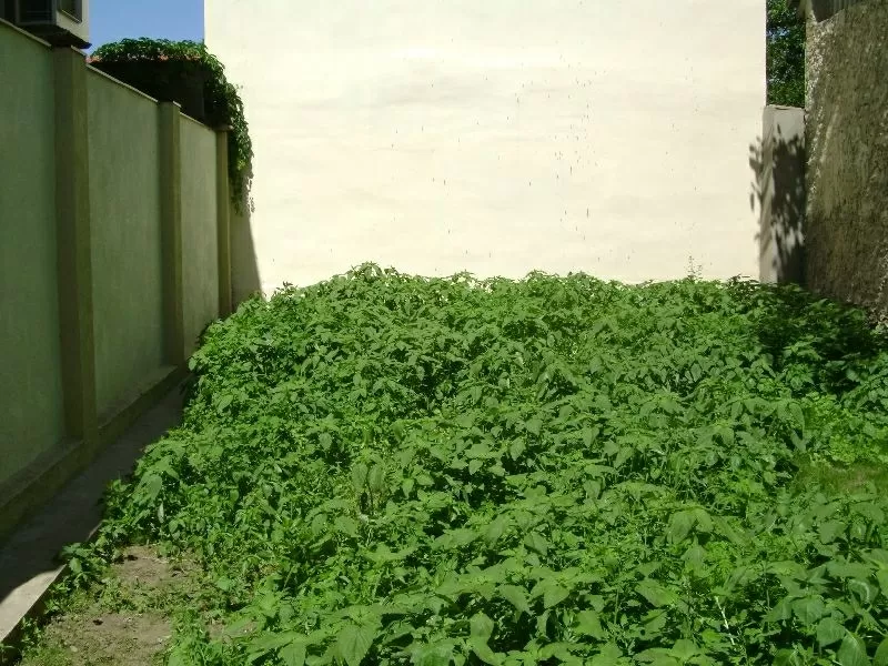 Сдам посуточно 2 комнатный Коттедж ул. Литературная, от Хозяйки возле 8