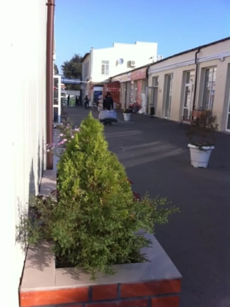 Сдам магазин