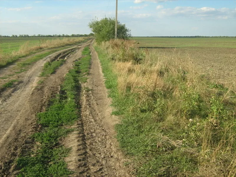 Продам участок в Б.Днестровском р-не