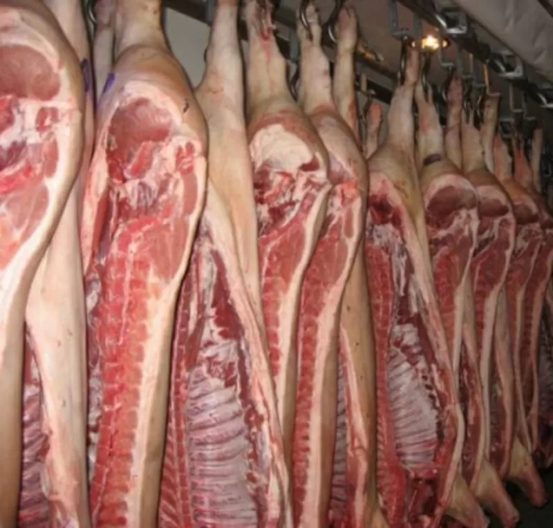 Продаю мясо свинины,  оптом. Полутуши от 28, 30 грн/кг