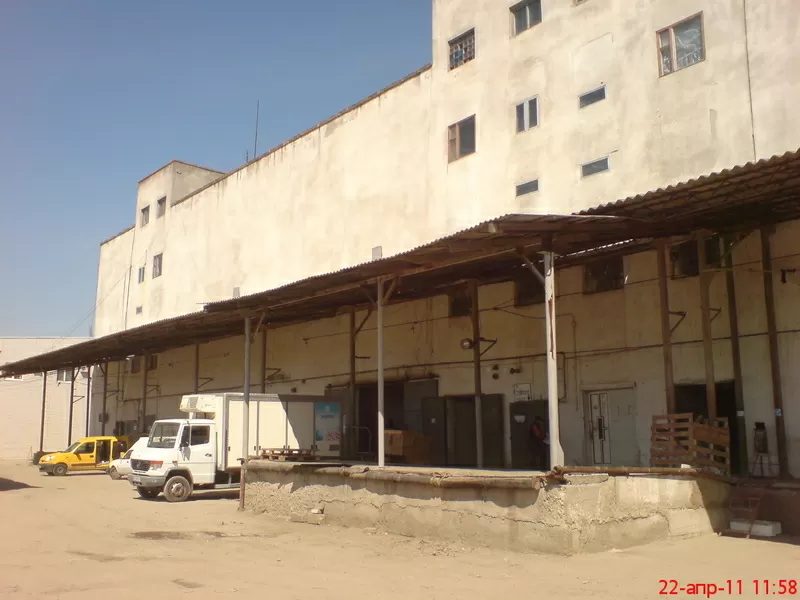 аренда холодильных  и  морозильных камер