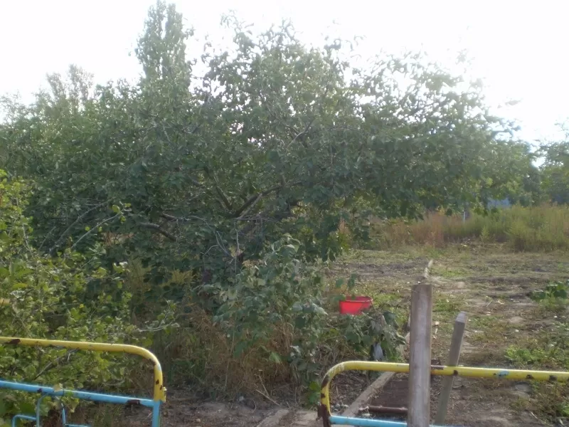 Дом в Красноселке с ремонтом 8