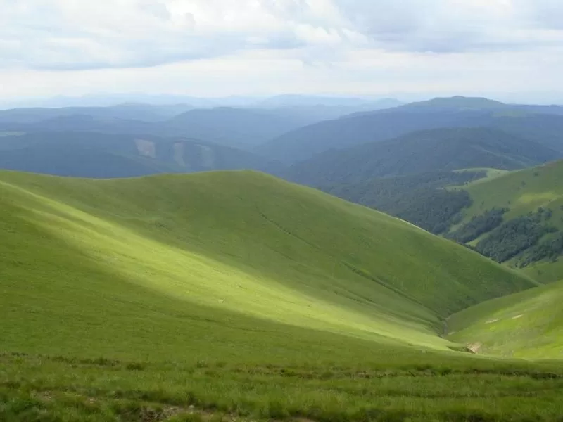 Отдых в Закарпатье, Карпатах летом.Усадьба Алекс. 3