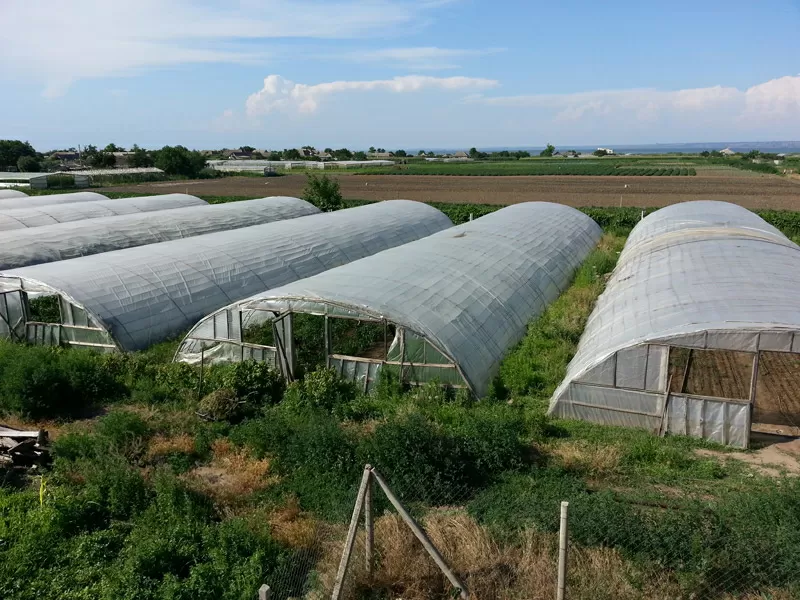 Продам действующий тепличный бизнес в Одесской обл.