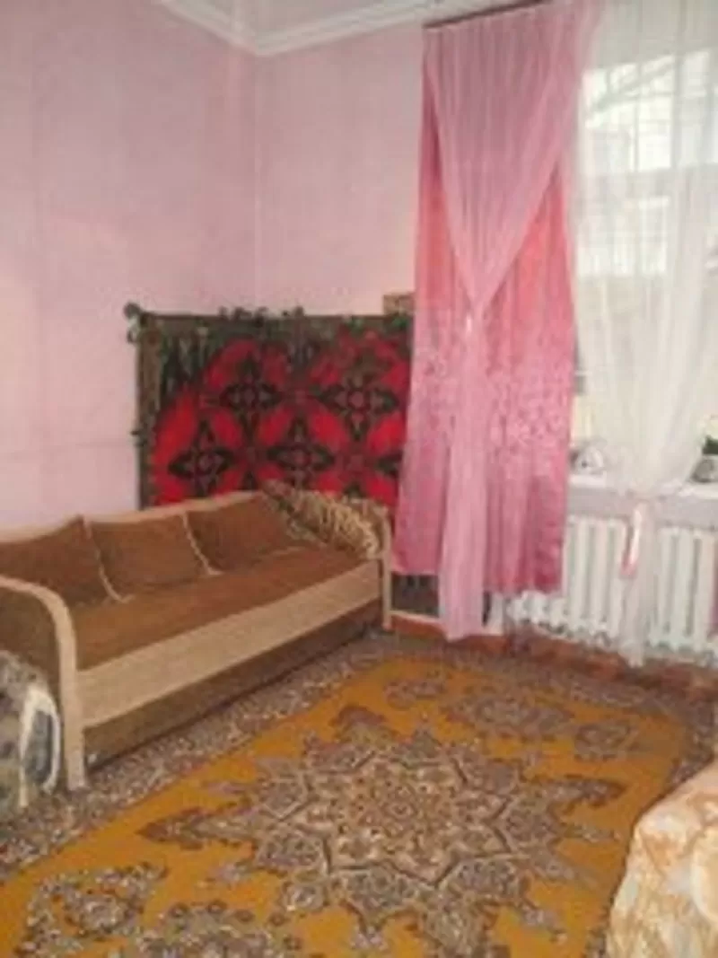 квартира на пол года