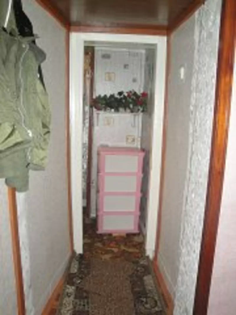 квартира на пол года 4