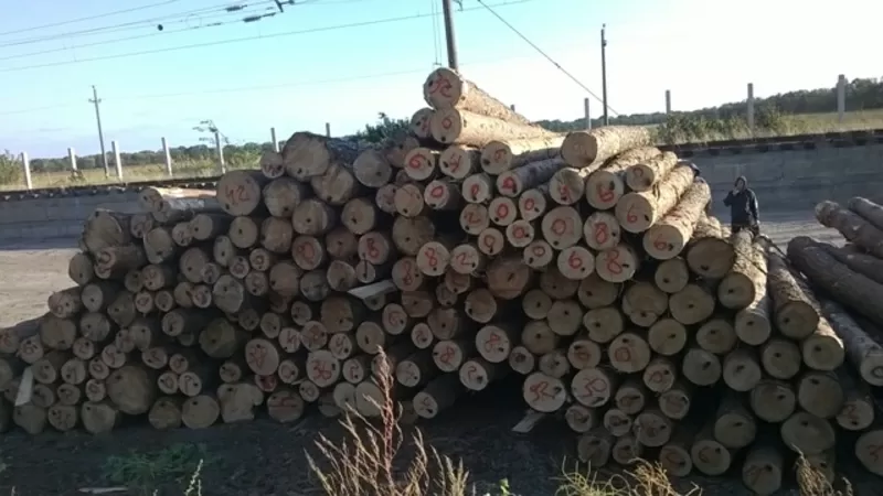 Услуги по перевалке и хранению гурзов