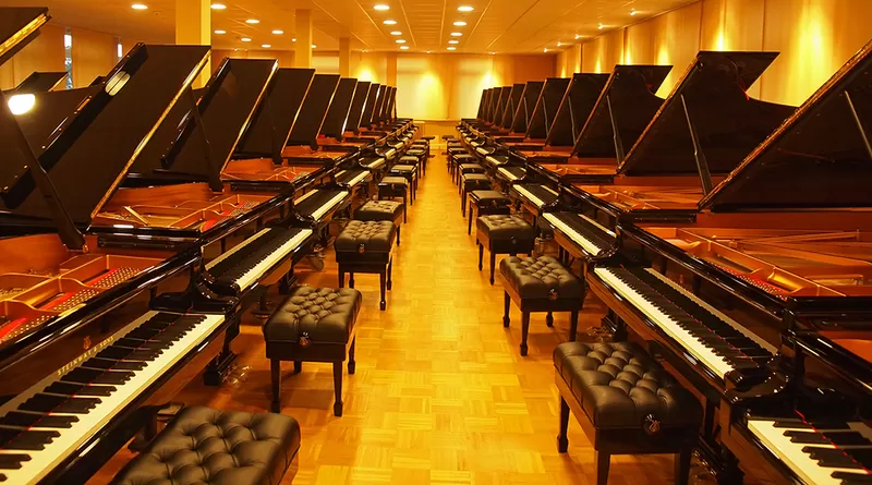 Настройка пианино,  рояля и других муз инструментов.