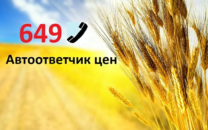 649 - автоответчик наивысших цен на с/х культуры в Украине