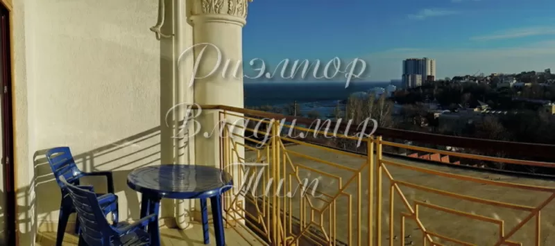 Аренда студии в Аркадийском дворце,  Аркадия 6