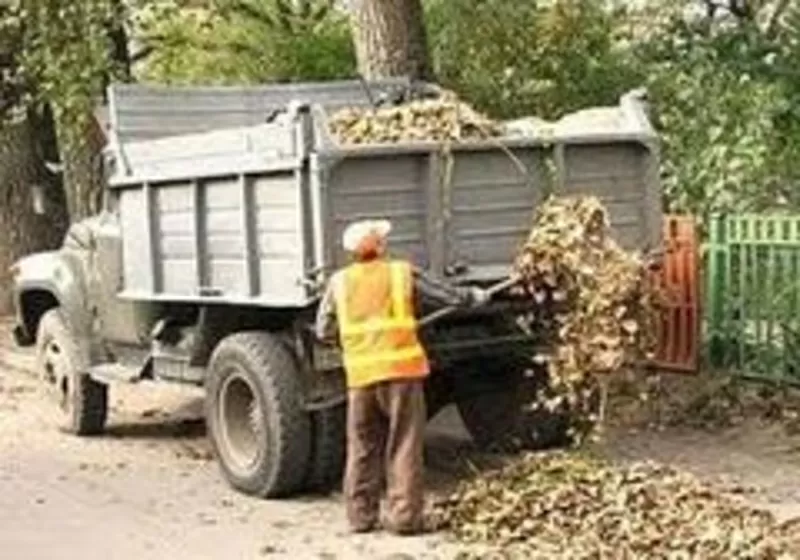 Вывоз,  cтрой мусора,  хлама. 14