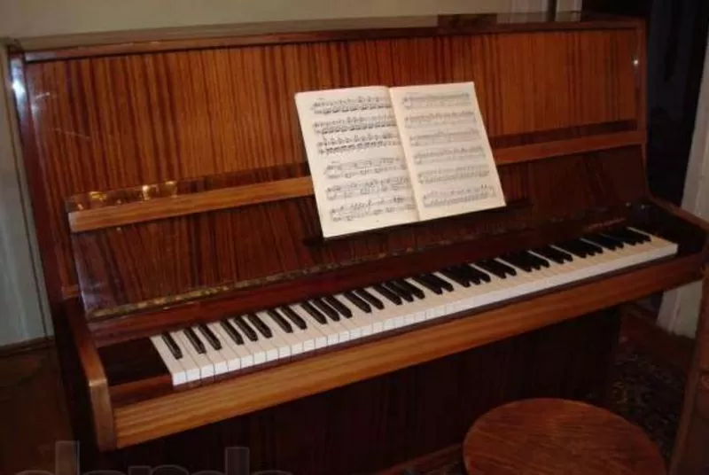 Уроки игры на фортепиано и сольфеджио 