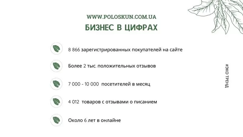 Продам 6-летний интернет-магазин Эко бытовой химии и натуральной косме 2