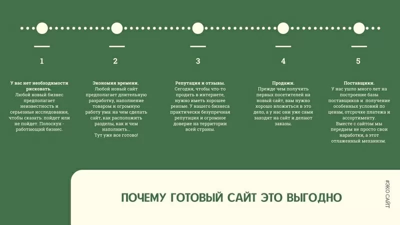 Продам 6-летний интернет-магазин Эко бытовой химии и натуральной косме 4