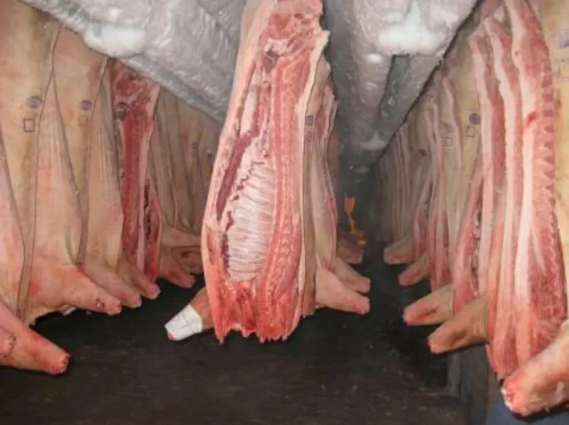 Мясо свинины убоем по самой низкой цене
