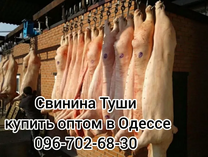 Мясо свинины цена