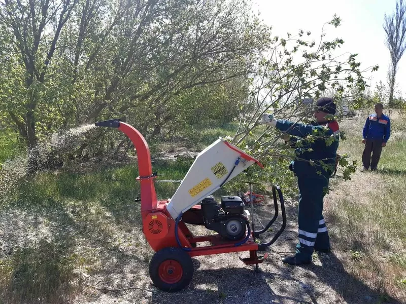 Спилим,  обрежем деревья руками из плеч,  все аккуратно 4