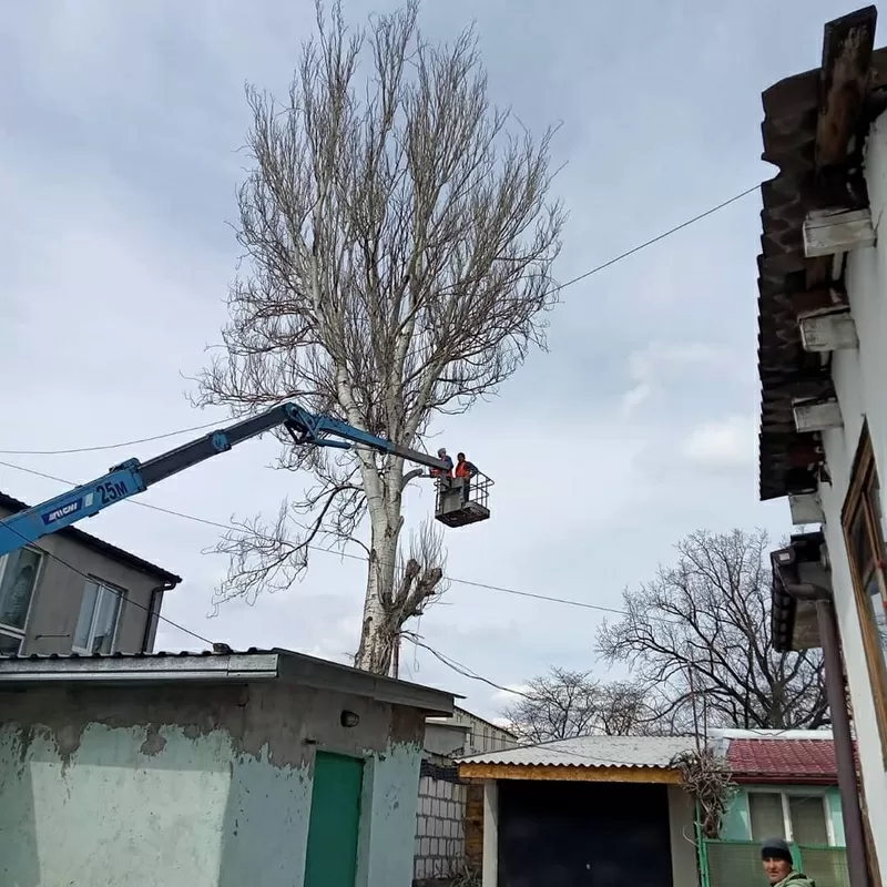 Спил деревьев обрезка веток. Аккуратно 2