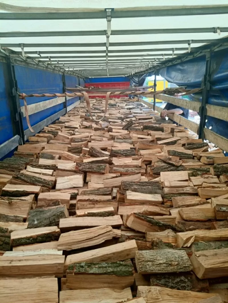 Продам дрова,  брикети паливні Одеса та область.