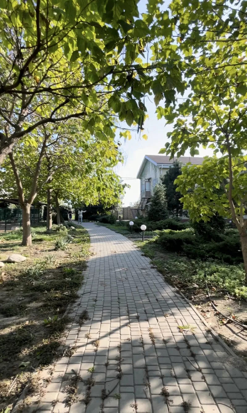 Готель для тварин з послугами грумінгу на Хуторській  9