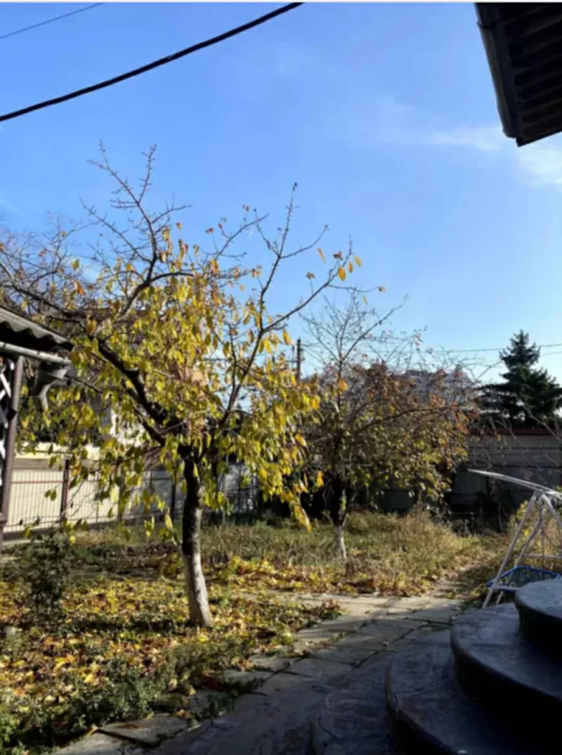 Участок в Аркадии 4 сотки 2