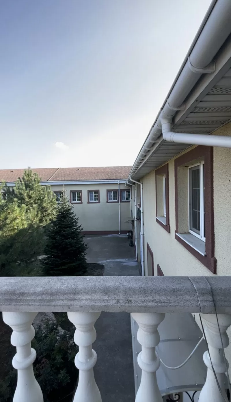 Готель для тварин з послугами грумінгу на Хуторській  2