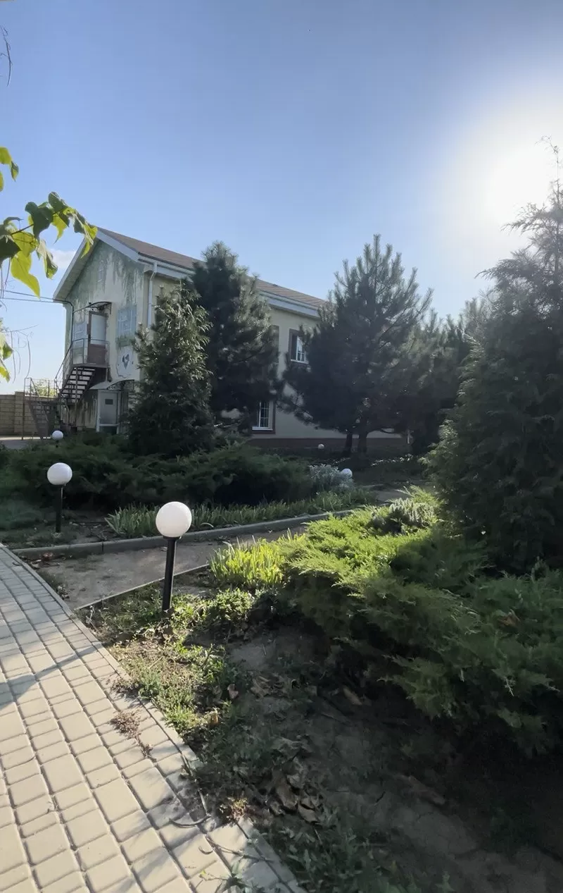 Готель для тварин з послугами грумінгу на Хуторській  3