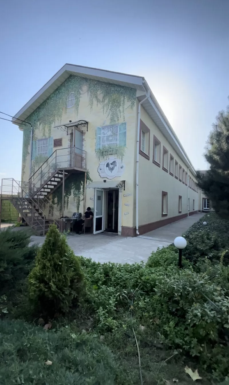 Готель для тварин з послугами грумінгу на Хуторській  4