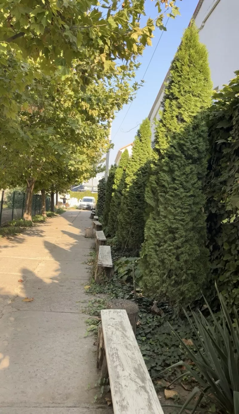 Готель для тварин з послугами грумінгу на Хуторській  8