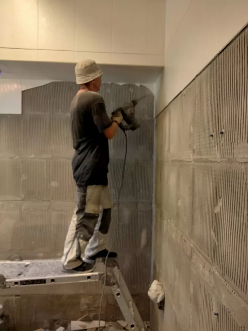 Демонтаж, земляные, спил, уборка, вывоз мусора, подъем материала Одеса 5