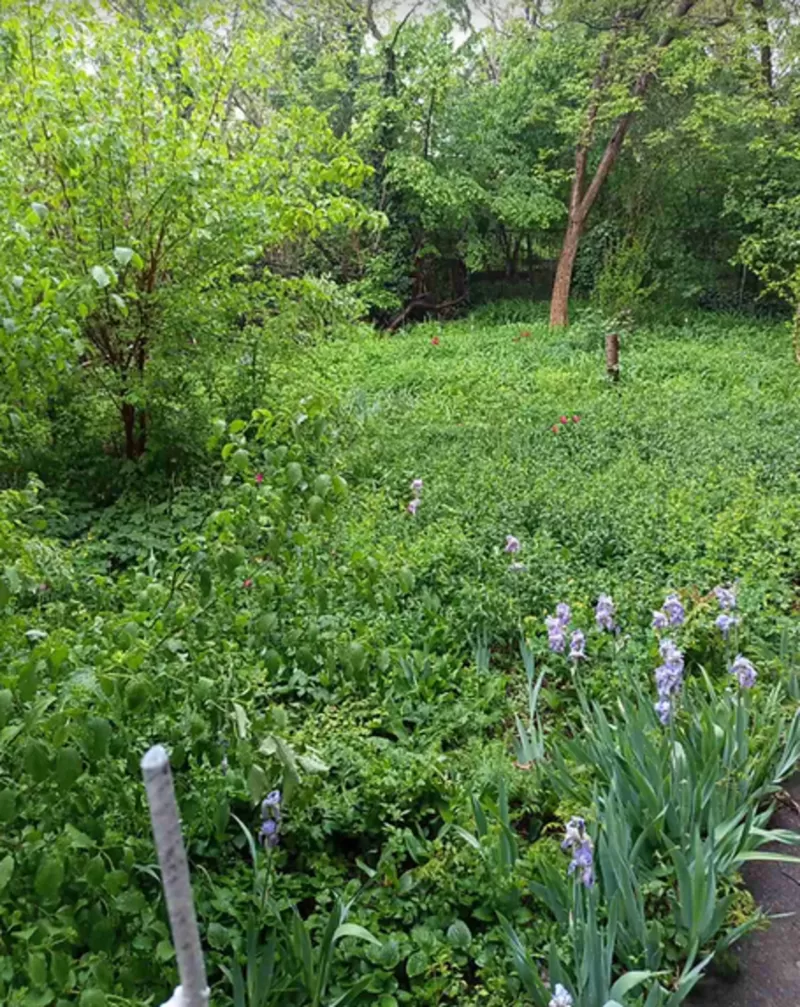 Квартира на вул Довженко 10