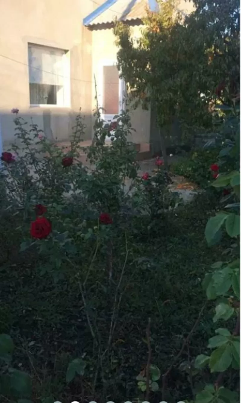 Будинок на Надії вул. 3