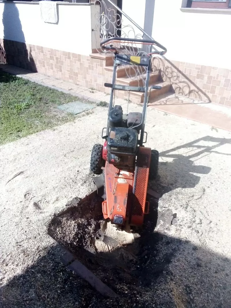 Спилим обрежем деревья,  удалим поросли 3