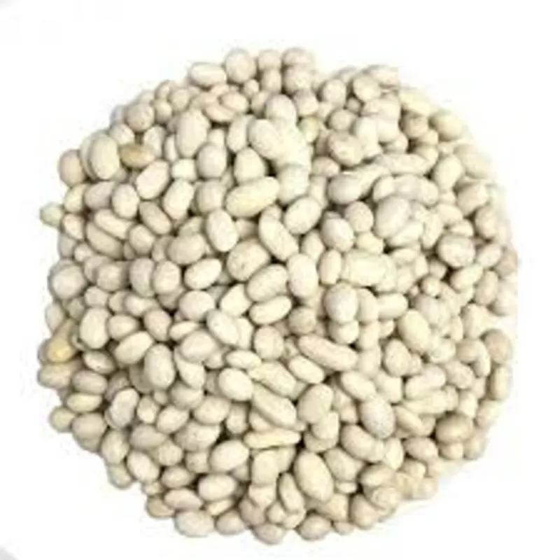 Закуповуємо квасолю оптом на консервування