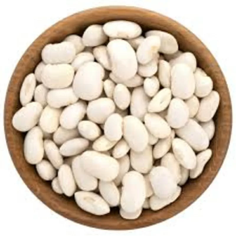 Купуємо квасолю оптом. Заберемо своїм транспортом