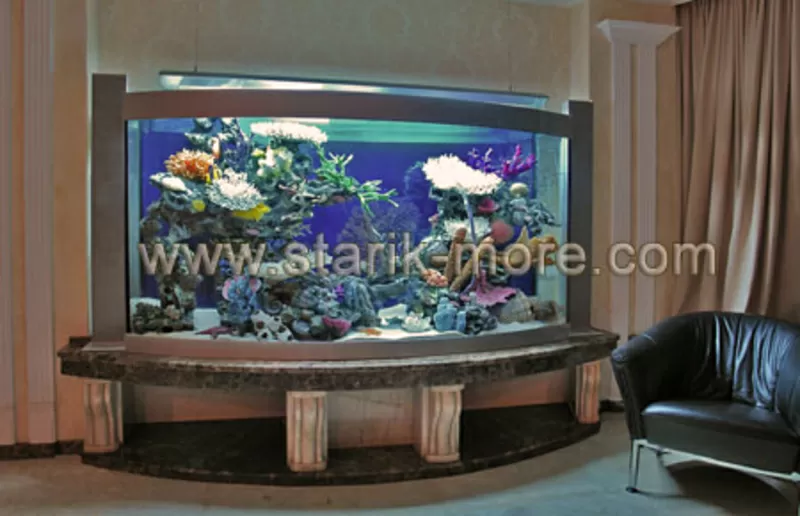Эксклюзивные аквариумы на заказ в Одессе. Обслуживание аквариумов.