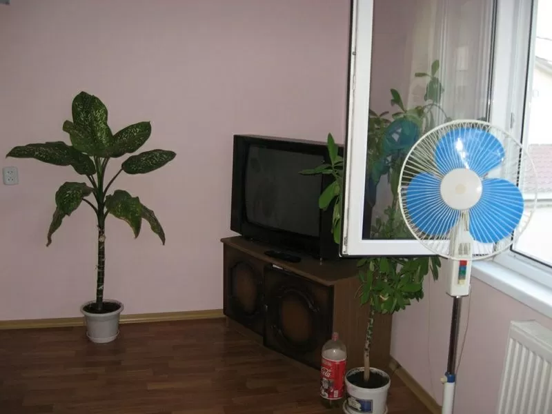 Сдам дом у моря,  Аркадия. Посуточно! 4