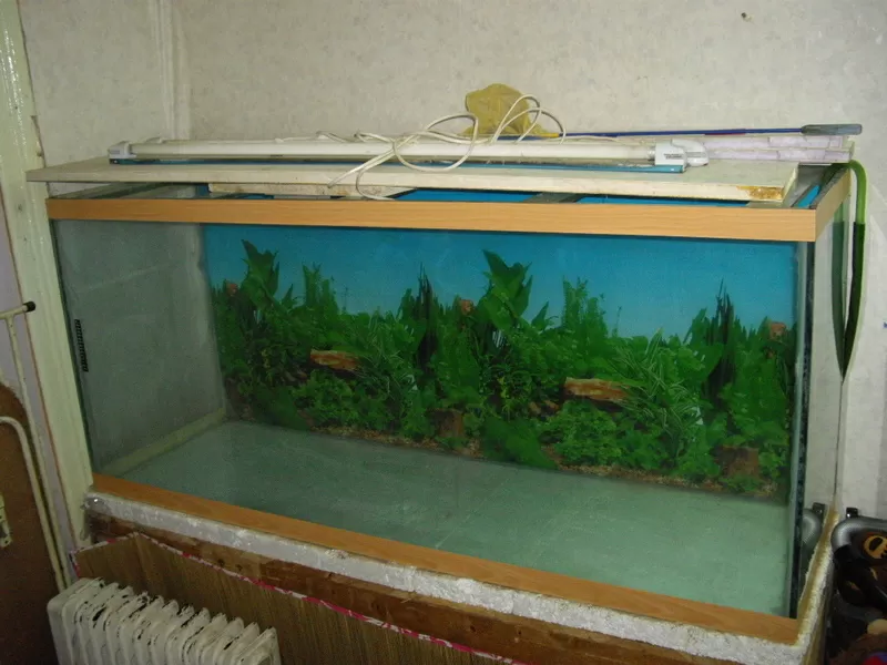 срочно продам аквариум? 2