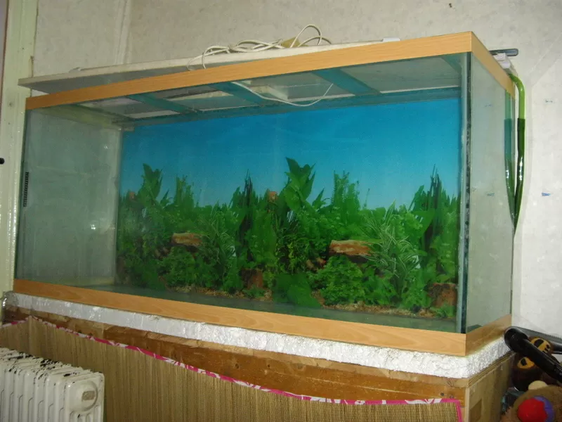 срочно продам аквариум? 3